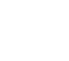Velo